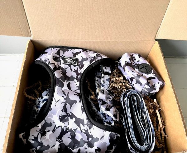 Grey Camouflage Dog Set in box