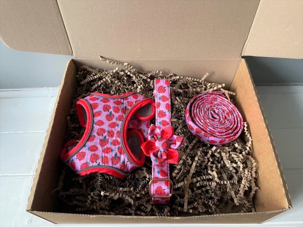 Boxed strawberry set