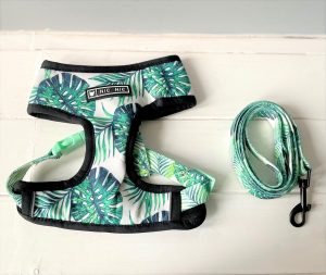 Tropical Dog Set