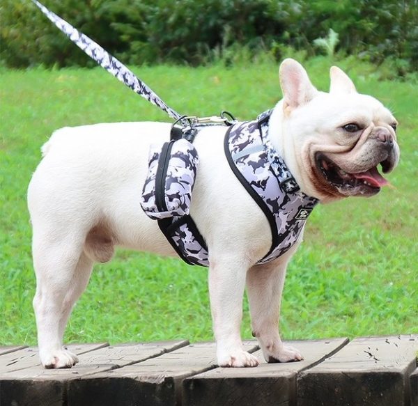 Grey Camouflage 4 piece Dog Harness Set - Image 5