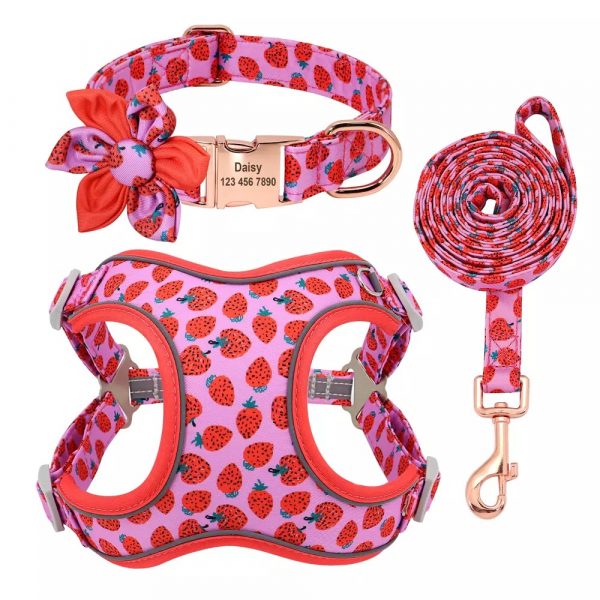 Pink Strawberry 3 piece Dog Harness Set - Image 4