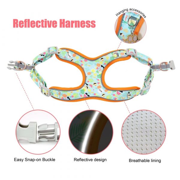 Pink Strawberry 3 piece Dog Harness Set - Image 5