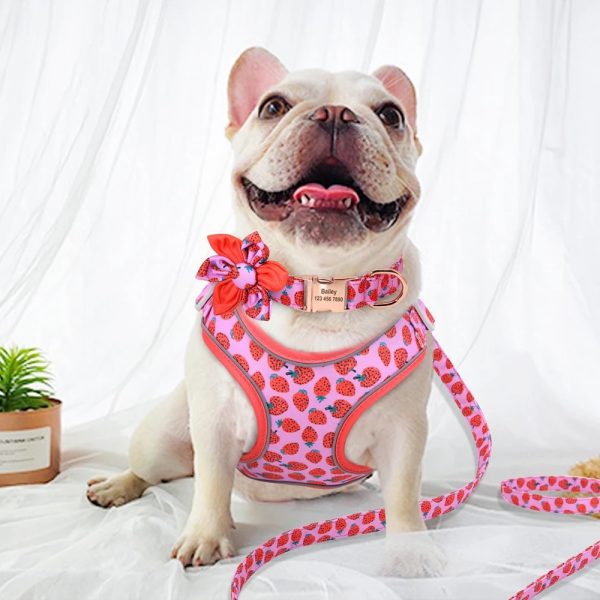 Pink Strawberry 3 piece Dog Harness Set - Image 7